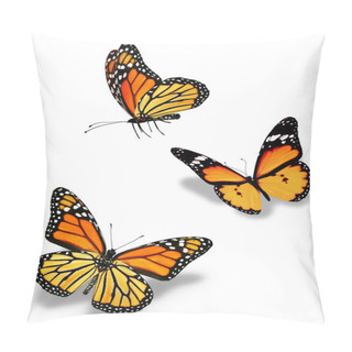 Personality  Three Orange Butterflies, Isolated On White Pillow Covers