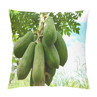 Personality  Organic Green Papaya Fruits On Tree In The Nature Garden  Pillow Covers