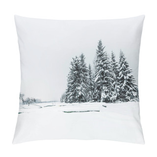 Personality  Spruces Covered With Snow In Carpathian Mountains Pillow Covers