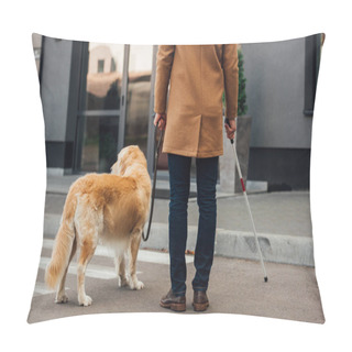 Personality  Cropped View Of Man With Walking Stick And Guide Dog Standing Beside Crosswalk Pillow Covers
