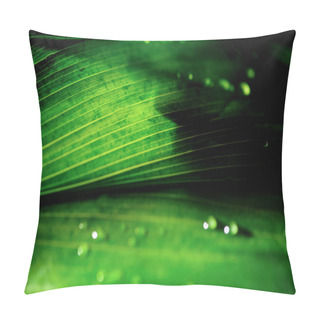 Personality  Close-up View Of Green Floral Background With Dew Drops Pillow Covers