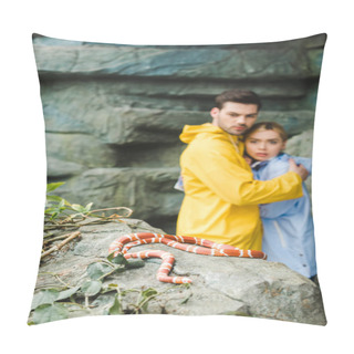 Personality  Young Couple In Raincoats Terrified Of Snake Lying On Rock Pillow Covers
