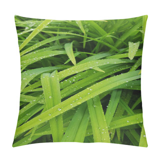 Personality  Water Drop On Fresh Green Exotic Tropical Leaf. Bali Tropic, Indonesia. Nature Plant Bright Foliage. Summer Flora Closeup Detail Photo. Jungle Natural Leafage Pattern Pillow Covers
