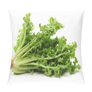 Personality  Fresh Sonchus Pillow Covers