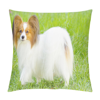 Personality  Papillon Dog Pillow Covers