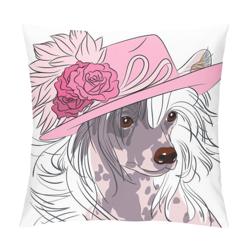 Personality  vector funny cartoon hipster dog Chinese Crested breed pillow covers