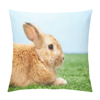 Personality  Fluffy Animal Pillow Covers