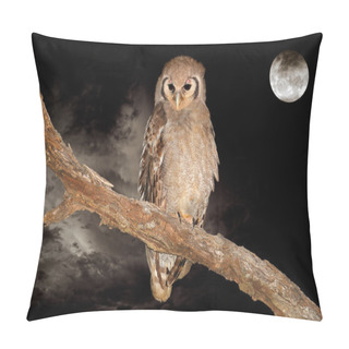Personality  Giant Eagle-owl And Moon Pillow Covers