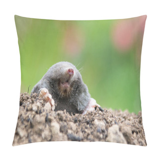 Personality  European Mole Crawling Out Of Molehill Above Ground, Showing Strong Front Feet Used For Digging Underground Tunnels Pillow Covers