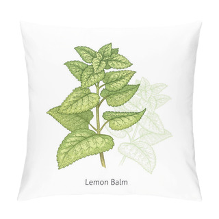 Personality  Medical Plant Lemon Balm. Pillow Covers