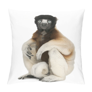 Personality  Crowned Sifaka, Propithecus Coronatus, 14 Years Old, Sitting In  Pillow Covers