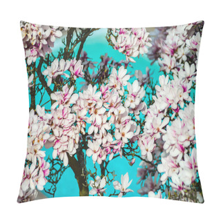Personality  Beautiful Pink Magnolia On Cyan Swimming-pool Background, Aerial Pillow Covers