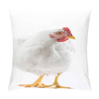 Personality  White Hen Pillow Covers