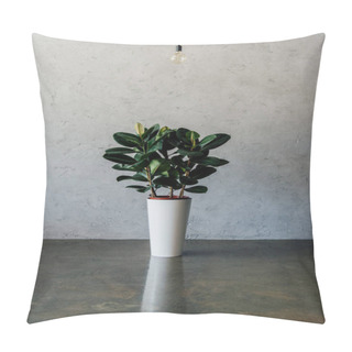 Personality  Potted Plant At Empty Room Pillow Covers