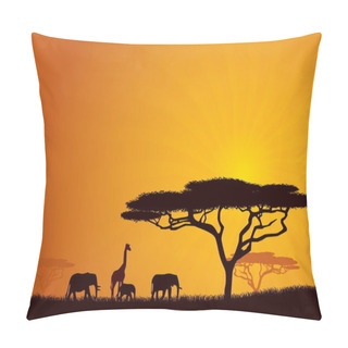 Personality  African Wildlife Background. Nature Background Series. Pillow Covers