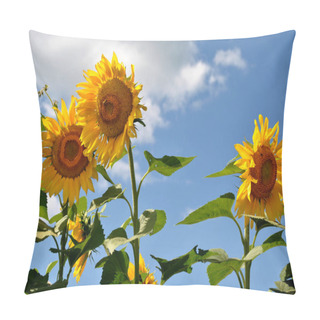 Personality  Sunflowers Against A Blue Sky Pillow Covers