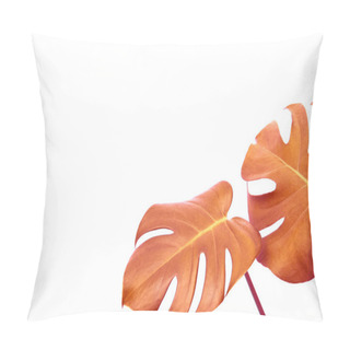 Personality  Orange Exotic Monstera Leaves Isolated On White Background Pillow Covers