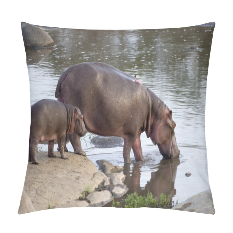 Personality  Hippo and her cub, Serengeti, Tanzania, Africa pillow covers