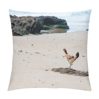 Personality  Chicken Scratching In The Sands Of Boca Do Rio Beach. Salvador, Bahia, Brazil. Pillow Covers