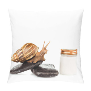 Personality  Brown Snail On Spa Stones Near Cosmetic Cream Container Isolated On White Pillow Covers