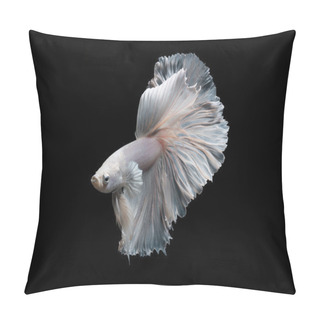 Personality  Betta Fish,Siamese Fighting Fish In Movement Isolated On Black Background. Pillow Covers