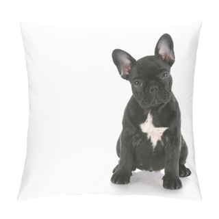 Personality  French Bulldog Sitting Pillow Covers