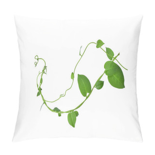 Personality  Twisted  Vines  Leaf With Heart Shaped Green Leaves Isolated On White Background, Clipping Path Included. Floral Desaign. HD Image And Large Resolution. Can Be Used As Wallpaper Pillow Covers