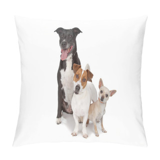 Personality  Small Group Of Dogs Pillow Covers