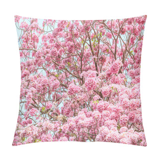 Personality  Pink Tabebuia Rosea Blossom Flowers Pillow Covers