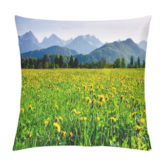 Personality  Alpine Meadow Covered By Flowers Pillow Covers