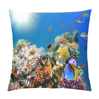 Personality  Bright Paints Of Coral Reeves Pillow Covers