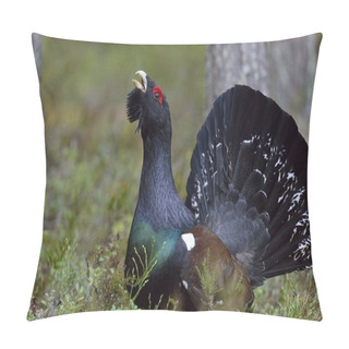Personality  Capercaillie (Tetrao Urogallus)   Pillow Covers