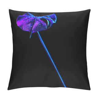 Personality  Toned Image Of Blue Tropical Leaf With Water Drops, Isolated On Black Pillow Covers