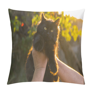 Personality  Cute Kitten In Hand. Pillow Covers