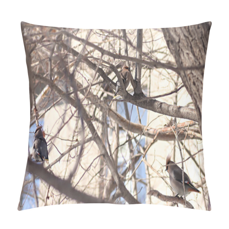 Personality  Cedar waxwing pillow covers