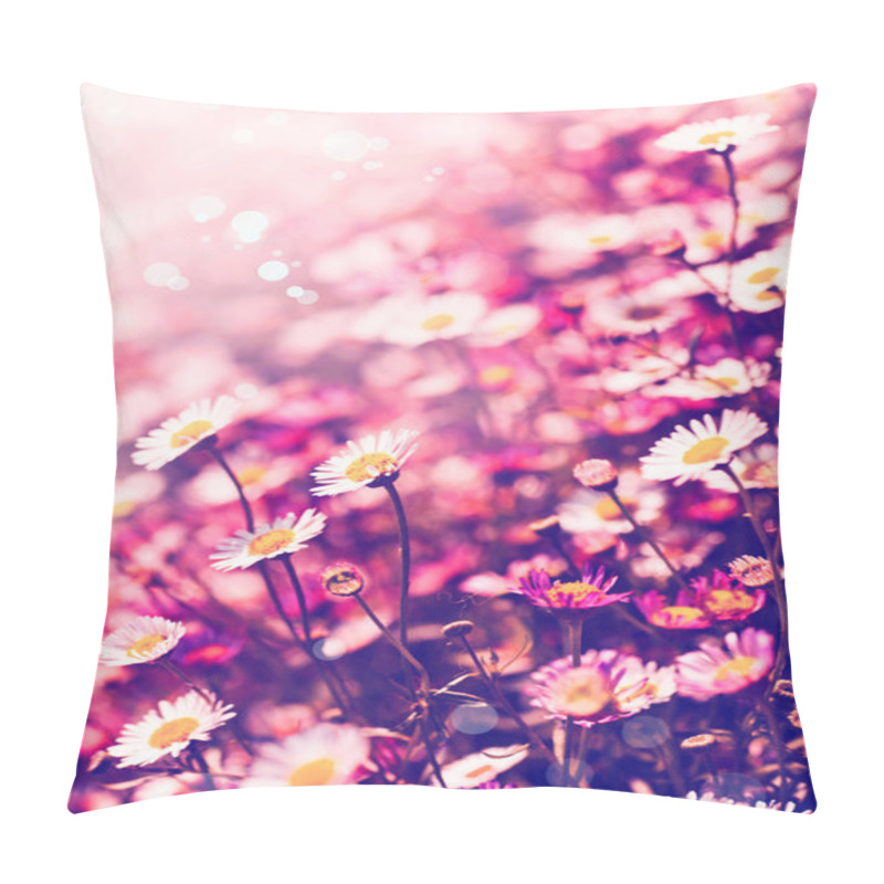 Personality  Field of chamomiles flowers in the sunshine pillow covers