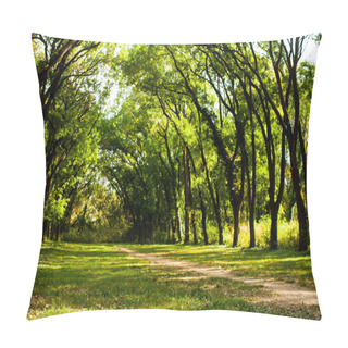 Personality  Fairytale Forest Landscape During The Sunny Day Pillow Covers
