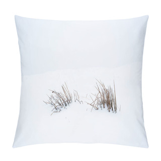 Personality  Mountain Dry Plant With Branches In White Pure Snow Pillow Covers