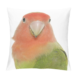 Personality  Peach Faced Lovebird Pillow Covers