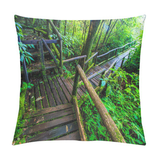 Personality  Passage In The Primeval Forest Pillow Covers