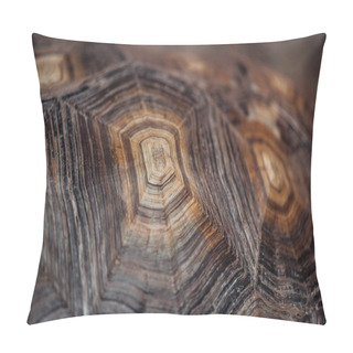 Personality  Close Up View Of Turtle Textured Brown Shell Pillow Covers