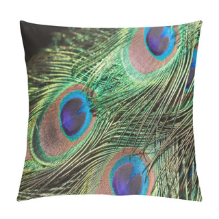 Personality  Peacock Feather Closeup Pillow Covers