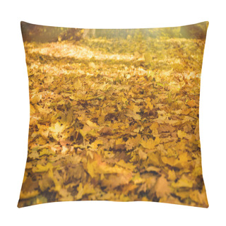 Personality  Fallen Golden Leaves Park Pillow Covers