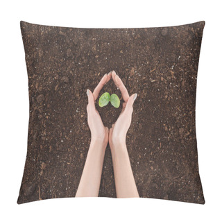 Personality  Cropped View Of Woman Holding Ground With Green Plant In Hands, Protecting Nature Concept  Pillow Covers