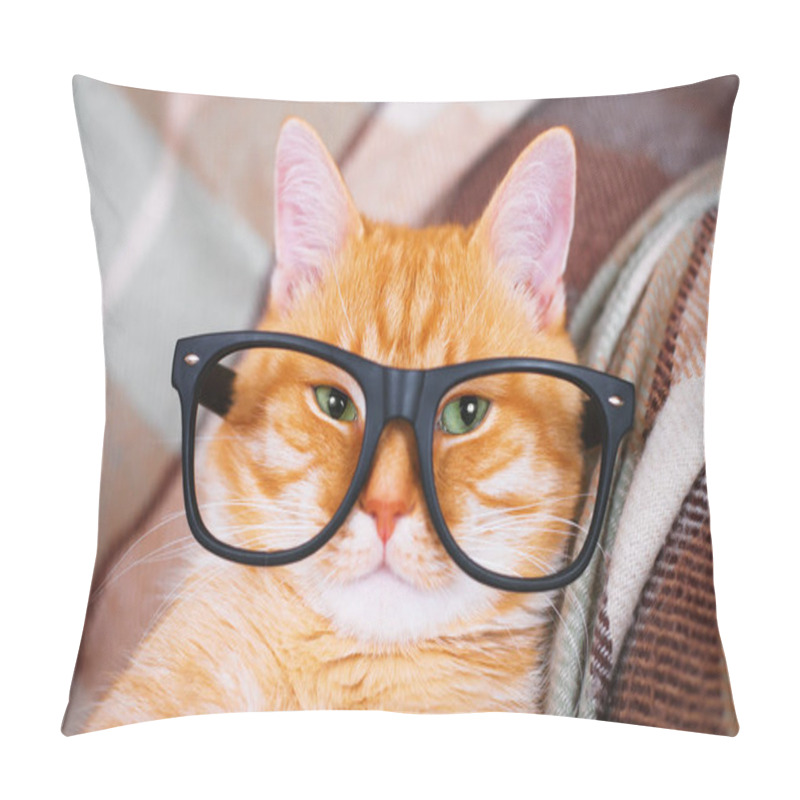 Personality  Cute red cat with glasses close-up. pillow covers