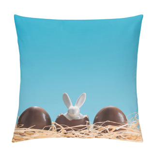 Personality  Easter Rabbit In Chocolate Eggs On Straw Isolated On Blue Pillow Covers