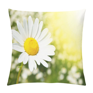 Personality  Daisy Flower On A Summer Field Pillow Covers