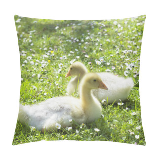 Personality  Goslings Pillow Covers