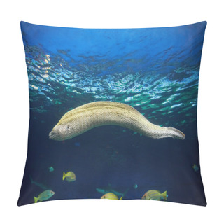 Personality  Moray Hunting Underwater Pillow Covers