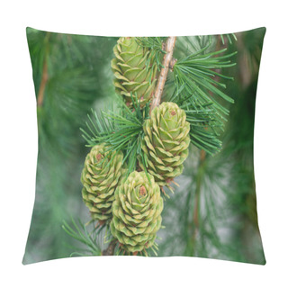 Personality  Green Larch Cones On Twig Closeup Selective Focus  Pillow Covers